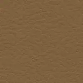 Brown leather texture with mottled bumps, matte finish, and natural grain; studio shot displaying “bross > leather > col. 343” text.